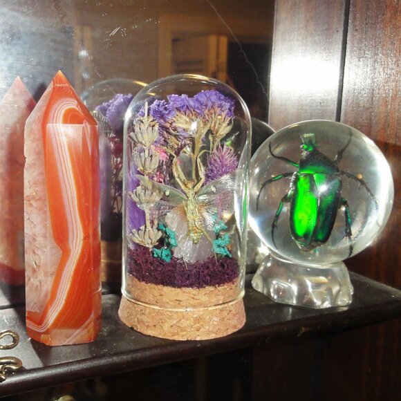 Praying Mantis Crystal & Flowers Oddity Jar insect taxidermy curiosity dome goth - Picture 12 of 15